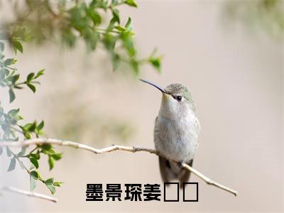墨景琛姜婠婠小说无弹窗(姜婠婠墨景琛)全文免费阅读无弹窗大结局_姜婠婠墨景琛最新章节列表_笔趣阁