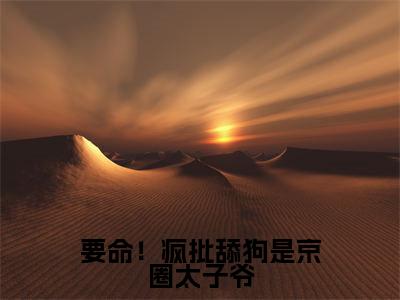 丁茉（要命！疯批舔狗是京圈太子爷）小说全文免费阅读-丁茉免费阅读完整版