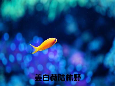 (姜白薇陆林野)全文免费阅读无弹窗大结局_(姜白薇陆林野全文免费)姜白薇陆林野小说最新章节列表_笔趣阁