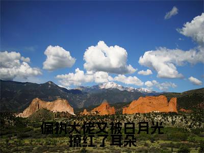 偏执大佬又被白月光撩红了耳朵全文免费阅读无弹窗大结局_(宋知沈辞野)偏执大佬又被白月光撩红了耳朵完整版全文在线赏析
