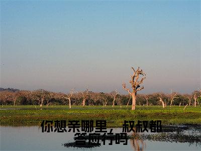 洛雨甜宋名扬你想亲哪里,叔叔都答应行吗免费阅读无弹窗小说洛雨甜宋名扬最新章节