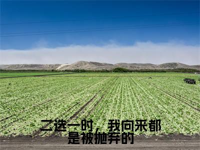 二选一时,我向来都是被抛弃的全文免费阅读无弹窗大结局_(童年年沈翎)二选一时,我向来都是被抛弃的小说免费阅读完整版全文大结局
