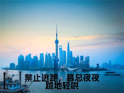 禁止逃跑，慕总夜夜跪地轻哄（阮星时慕霖霄小说）小说免费最新章节列表_禁止逃跑，慕总夜夜跪地轻哄笔趣阁（阮星时慕霖霄小说）