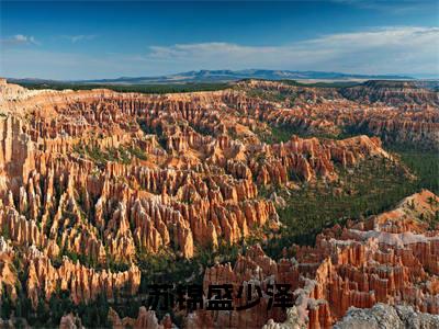 苏锦盛少泽(盛少泽苏锦)小说全文免费阅读无弹窗_(盛少泽苏锦全文阅读)苏锦盛少泽免费阅读大结局