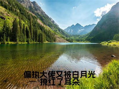 偏执大佬又被白月光撩红了耳朵小说无弹窗(宋知沈辞野)全文免费阅读无弹窗大结局_宋知沈辞野最新章节列表_笔趣阁