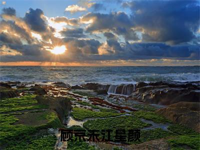 顾京未江星颜(江星颜顾京未小说)全文免费阅读无弹窗大结局_江星颜顾京未完整版小说阅读
