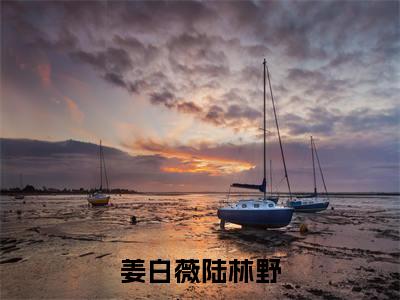 姜白薇陆林野全文免费阅读（姜白薇陆林野免费阅读无弹窗）姜白薇陆林野最新章节列表_笔趣阁