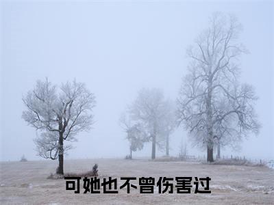 沈稚然傅言莫(可她也不曾伤害过)最火言情小说免费观看-小说可她也不曾伤害过(沈稚然傅言莫)今日已更新最新章节