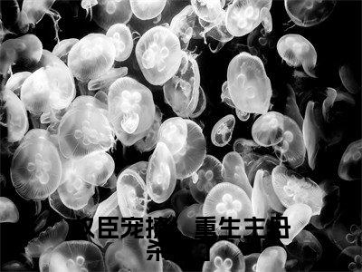 权臣宠撩:重生主母杀疯了小说大结局免费阅读,苏千影抖音新上热文分享