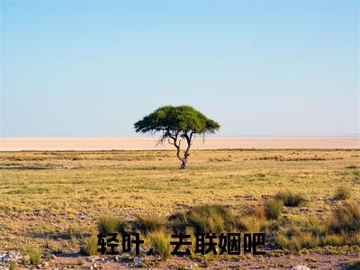 (靳丞苏轻叶)轻叶,去联姻吧全文免费阅读无弹窗_(轻叶,去联姻吧小说免费阅读)最新章节列表笔趣阁