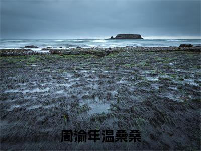 小说周渝年温桑桑全文阅读无弹窗大结局_(温桑桑周渝年)周渝年温桑桑最新章节列表_笔趣阁