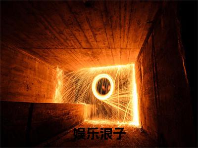 小说林戈全文免费阅读无弹窗大结局_娱乐浪子完整阅读