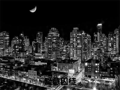 季安南顾淮北(爱意囚徒)免费小说全文完整版-爱意囚徒最新章节完整版阅读