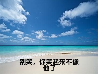 人气小说别笑，你笑起来不像他了在线阅读-正版小说《别笑，你笑起来不像他了》程也许云霁全文阅读