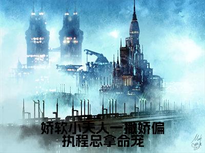 娇软小夫人一撒娇偏执程总拿命宠(陆知娴程砚南)全文免费阅读无弹窗大结局_娇软小夫人一撒娇偏执程总拿命宠最新章节列表_笔趣阁