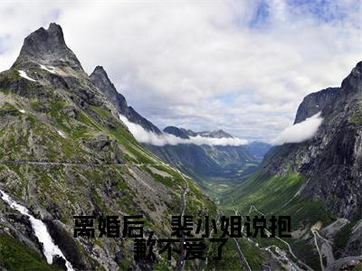 离婚后,裴小姐说抱歉不爱了(裴婉容沈野)全文免费阅读无弹窗大结局_(离婚后,裴小姐说抱歉不爱了)裴婉容沈野全文阅读-笔趣阁