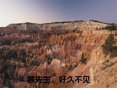 （顾沐冉迟诩晏）全文免费阅读顾先生，好久不见言情小说讲的是什么