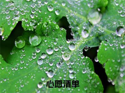 宁昊(心愿清单)免费阅读无弹窗大结局-心愿清单完整版最新阅读