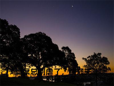 席城山全文免费(席总别虐了,病弱夫人时日无多)全文免费阅读无弹窗大结局_(席城山全文免费)