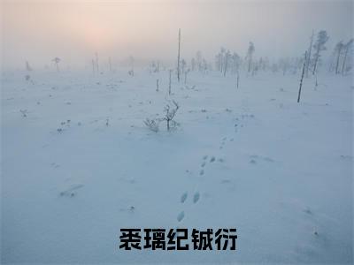 裘璃纪铖衍小说全文(裘璃纪铖衍)全文免费阅读无弹窗大结局_裘璃纪铖衍小说免费最新章节列表