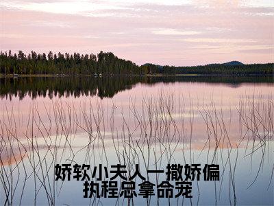 娇软小夫人一撒娇偏执程总拿命宠(陆知娴程砚南)全文免费阅读无弹窗大结局_娇软小夫人一撒娇偏执程总拿命宠全文免费阅读_笔趣阁