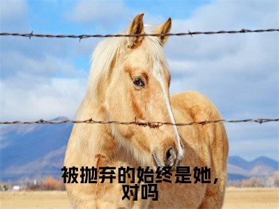 孟思遐邵珈宸(被抛弃的始终是她,对吗全文免费阅读)_孟思遐邵珈宸小说最新章节免费阅读