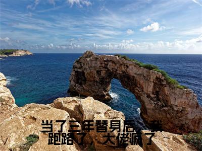 当了三年替身后，我跑路了，大佬疯了小说全文免费阅读（阮莺慕陵）全文免费阅读无弹窗_阮莺慕陵小说全文免费阅读