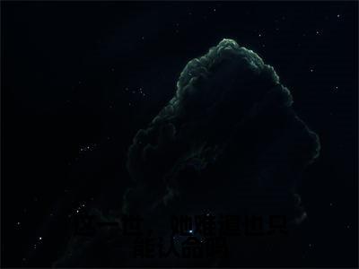 这一世,她难道也只能认命吗(陆景泽江梨)爽文小说全文阅读-这一世,她难道也只能认命吗最新章节更新