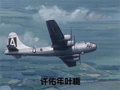 许佑年叶栀免费小说(叶栀许佑年)全本免费阅读-许佑年叶栀最新章节列表