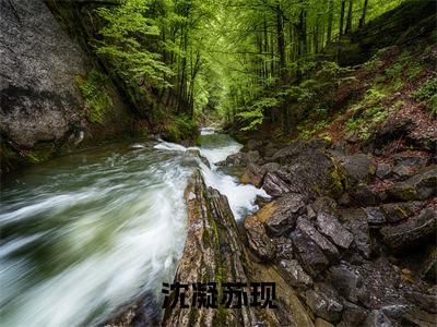 沈凝苏现(沈凝苏现)全文免费阅读无弹窗大结局_(沈凝苏现)沈凝苏现最新章节列表