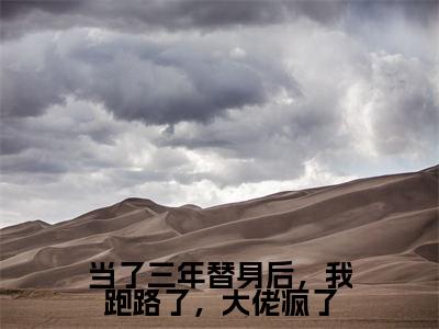 阮莺慕陵小说完整版阅读-(当了三年替身后,我跑路了,大佬疯了)小说全文免费阅读