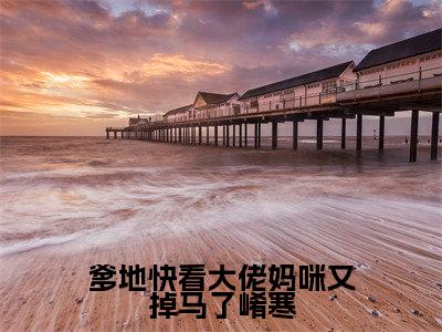 （鹿乔儿靳崤寒）小说全文免费阅读_鹿乔儿靳崤寒（爹地快看大佬妈咪又掉马了崤寒）最新章节热文在线阅读