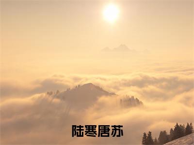陆寒唐苏全文免费阅读无弹窗,陆寒唐苏小说最新章节列表无删减_笔趣阁