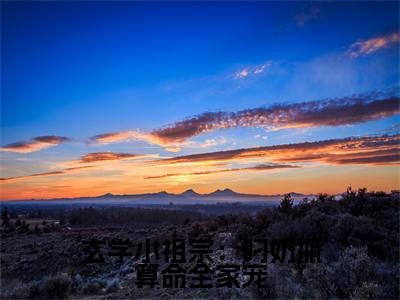 玄学小祖宗:叼奶瓶算命全家宠(沈知音)全文免费完结版阅读_(沈知音)玄学小祖宗:叼奶瓶算命全家宠最新章节列表笔趣阁