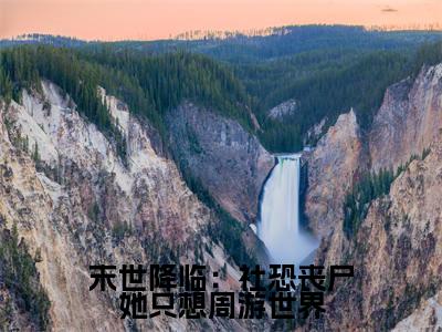 末世降临：社恐丧尸她只想周游世界小说（颜肆）全文免费阅读_（颜肆）末世降临：社恐丧尸她只想周游世界小说最新章节列表