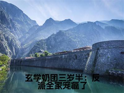 玄学奶团三岁半:反派全家宠疯了免费阅读无弹窗,小说唐落落大结局全文免费阅读