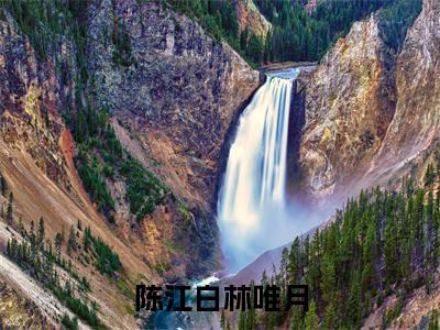 陈江白林唯月(陈江白林唯月)小说免费阅读_陈江白林唯月精选小说全文阅读(陈江白林唯月)