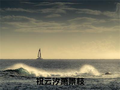 祝云汐萧景枝全文免费阅读大结局_祝云汐萧景枝全文免费阅读无弹窗_笔趣阁(祝云汐萧景枝)