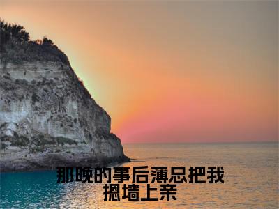 苏星梨薄瑨深免费小说(那晚的事后薄总把我摁墙上亲)全文无弹窗阅读苏星梨薄瑨深大结局免费阅读无弹窗