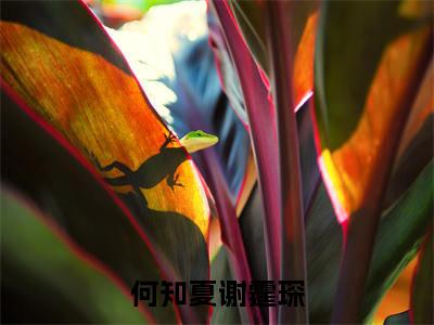 何知夏谢霆琛(何知夏谢霆琛)全文免费阅读无弹窗大结局-何知夏谢霆琛免费阅读全文大结局-笔趣阁