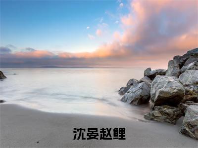 (沈晏赵鲤)小说全文免费阅读无弹窗大结局_赵鲤沈晏沈晏赵鲤最新章节列表笔趣阁