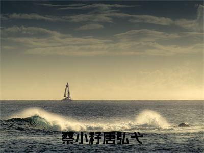 蔡小籽唐弘弋(蔡小籽唐弘弋)全文免费阅读无弹窗完整版,(蔡小籽唐弘弋)免费阅读全文最新章节列表_笔趣阁