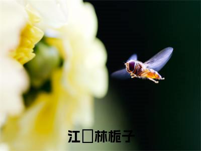 江玙林栀子小说全文(江玙林栀子)全文免费阅读无弹窗大结局_江玙林栀子全文免费阅读无弹窗最新章节列表