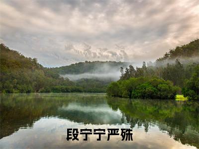 后续+免费段宁宁严殊(段宁宁严殊)全文小说在线阅读-段宁宁严殊全章节最新阅读