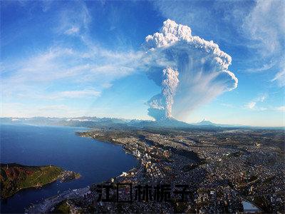 江玙林栀子全文免费阅读无弹窗大结局，江玙林栀子小说精彩免费试读