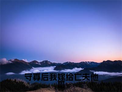 守寡后我嫁给亡夫他哥全文免费阅读无弹窗大结局-守寡后我嫁给亡夫他哥阿蕊秦烈全文全章节免费阅读