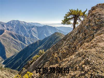 许栀费南舟(许栀费南舟)免费小说-许栀费南舟全文在线阅读