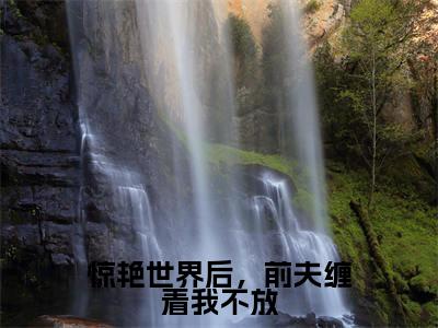 惊艳世界后，前夫缠着我不放全文（安宁）全文免费阅读无弹窗大结局_惊艳世界后，前夫缠着我不放全文最新章节列表_笔趣阁（安宁）