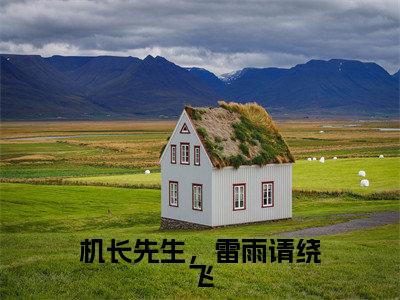 孟黎月厉赴征(机长先生,雷雨请绕飞)全文免费阅读无弹窗大结局_(孟黎月厉赴征全文阅读)机长先生,雷雨请绕飞无弹窗最新章节列表