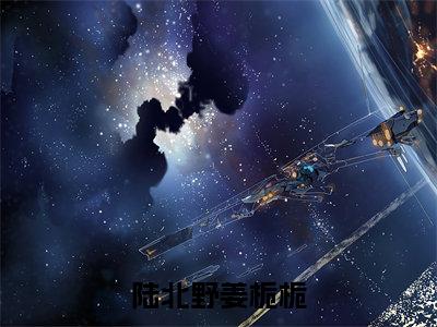 姜栀栀陆北野(陆北野姜栀栀)热门小说在哪免费看-姜栀栀陆北野小说陆北野姜栀栀全章节阅读